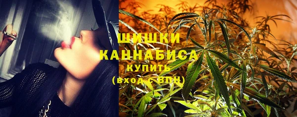 PSILOCYBIN Вяземский