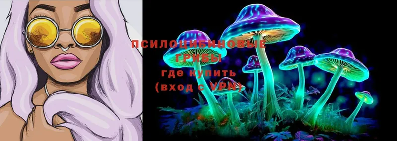 Галлюциногенные грибы Psilocybine cubensis  blacksprut маркетплейс  Белоозёрский 